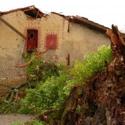 Tempête