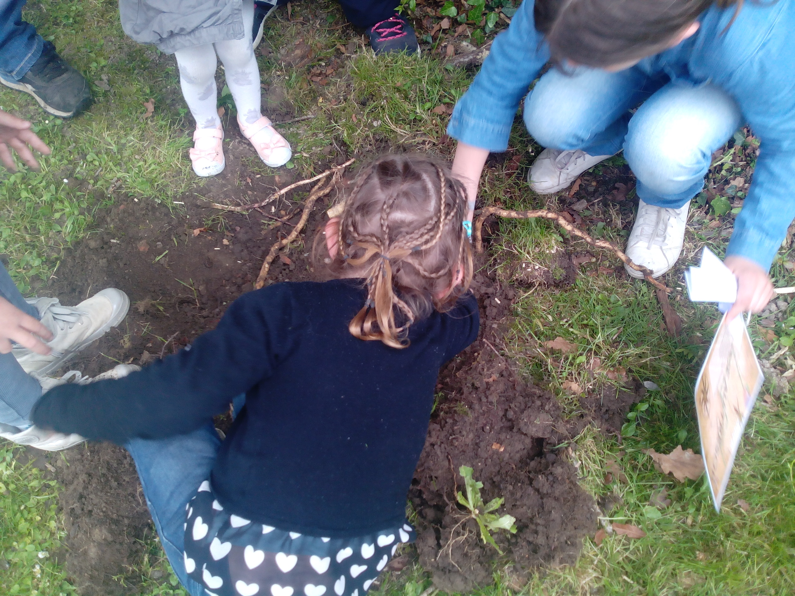 Chasse aux oeufs dimanche 21 avril 2019