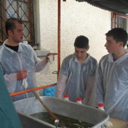 Sardinade 28/04/2012